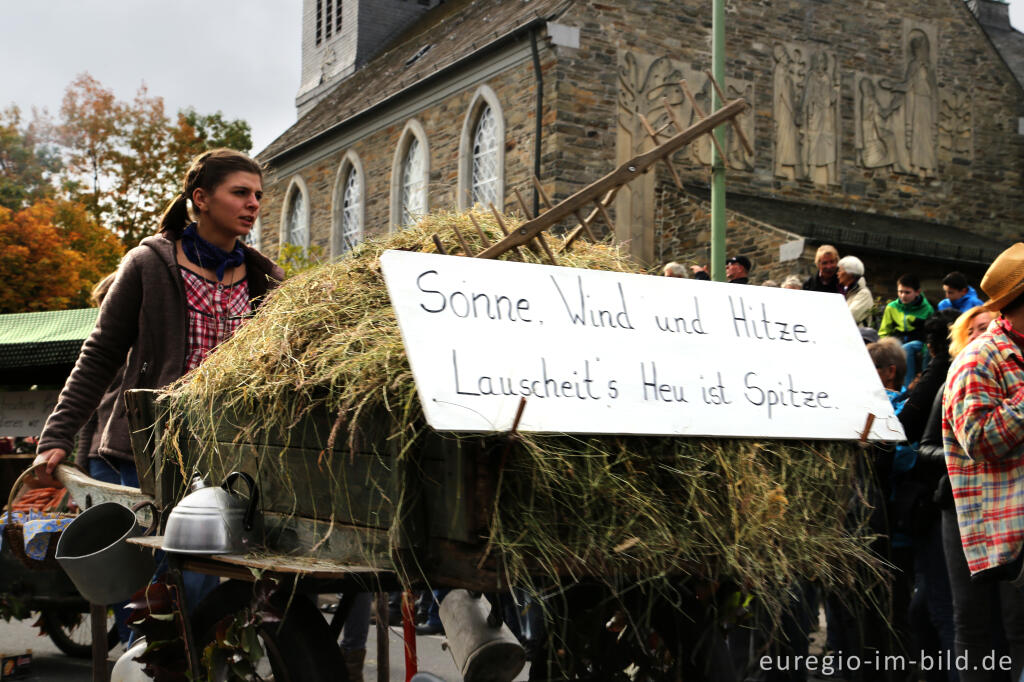 Detailansicht von Erntedankfest in Mützenich bei Monschau