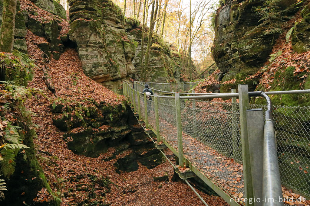 Detailansicht von Felsenschlucht des Ruetsbech, Müllerthal (Luxemburg)