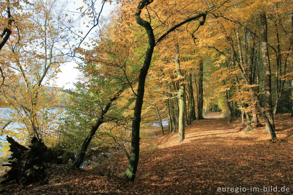 Detailansicht von Herbst am Cranenweyer