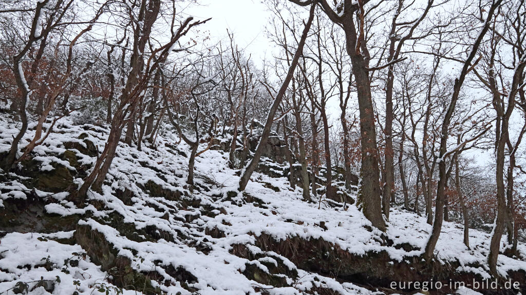 Detailansicht von Hetzinger Wald, Odenbachtal