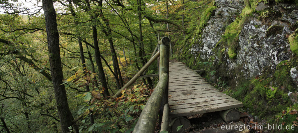 Holzsteg, Lieserpfad / Eifelsteig, Vulkaneifel