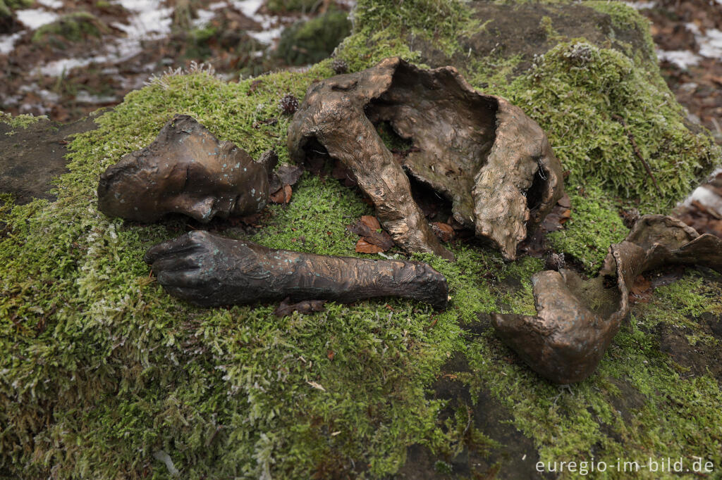 Detailansicht von Hügelgrab im Vijlenerbosch