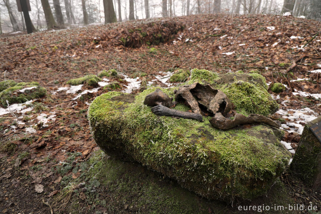 Detailansicht von Hügelgrab im Vijlenerbosch