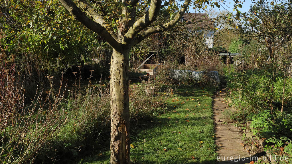 Detailansicht von Im Garten von Detlef Röper, Aachen