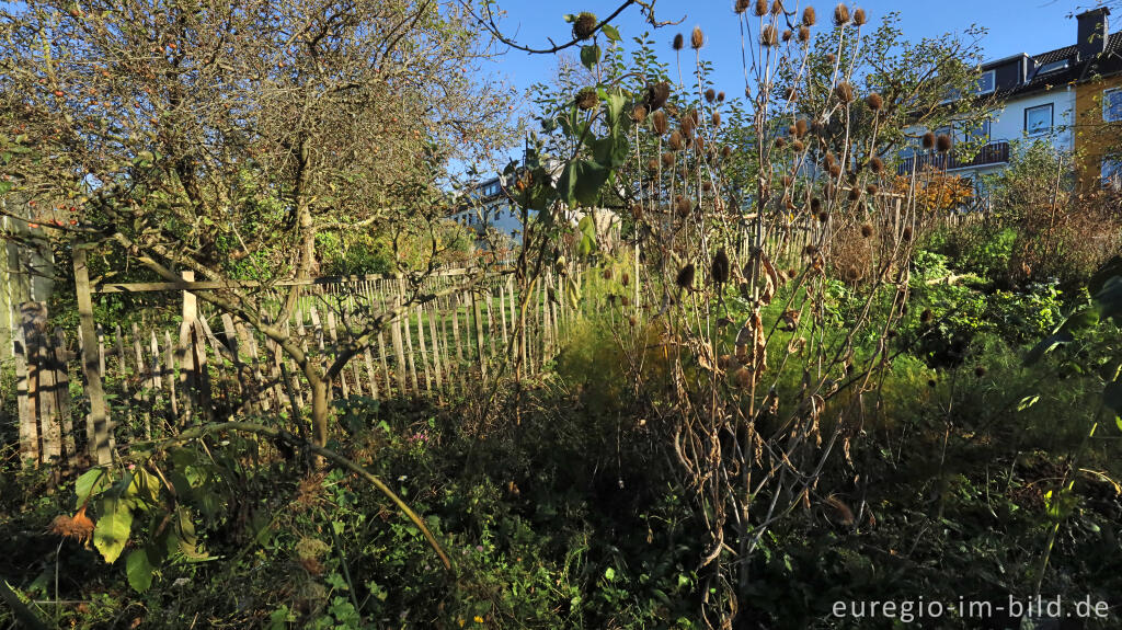 Detailansicht von Im Garten von Detlef Röper, Aachen