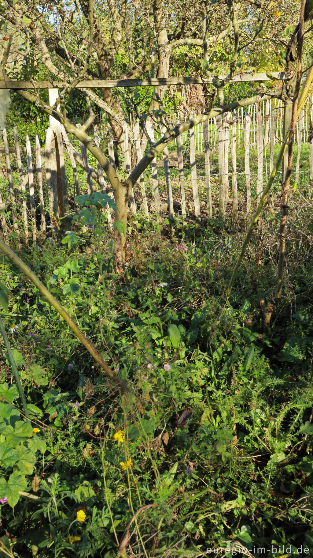 Detailansicht von Im Garten von Detlef Röper, Aachen