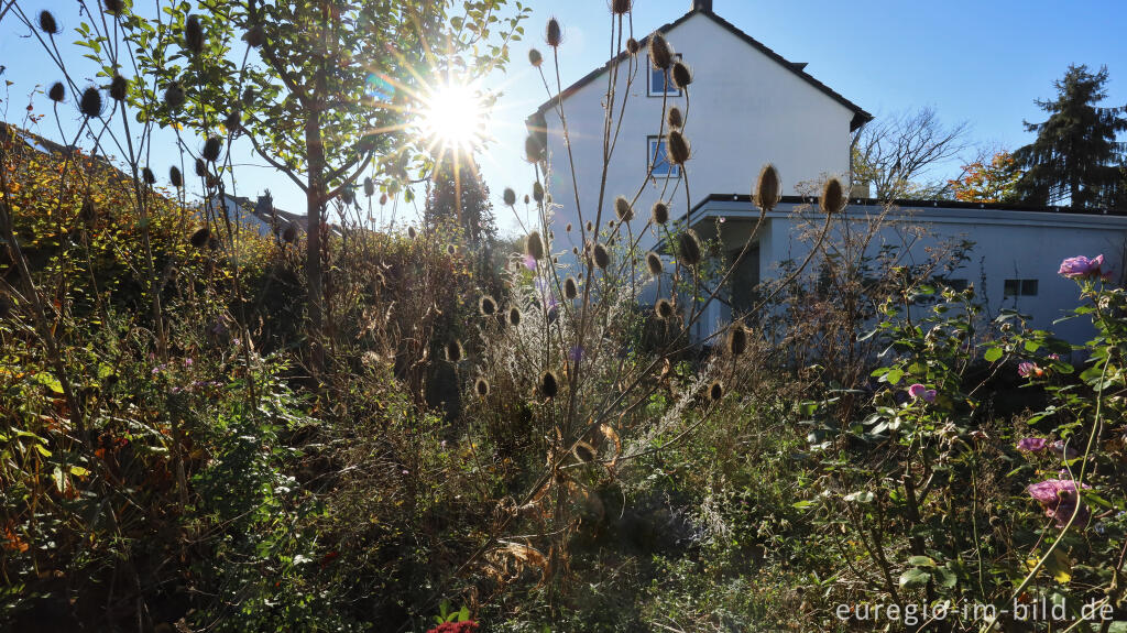 Detailansicht von Im Garten von Detlef Röper, Aachen