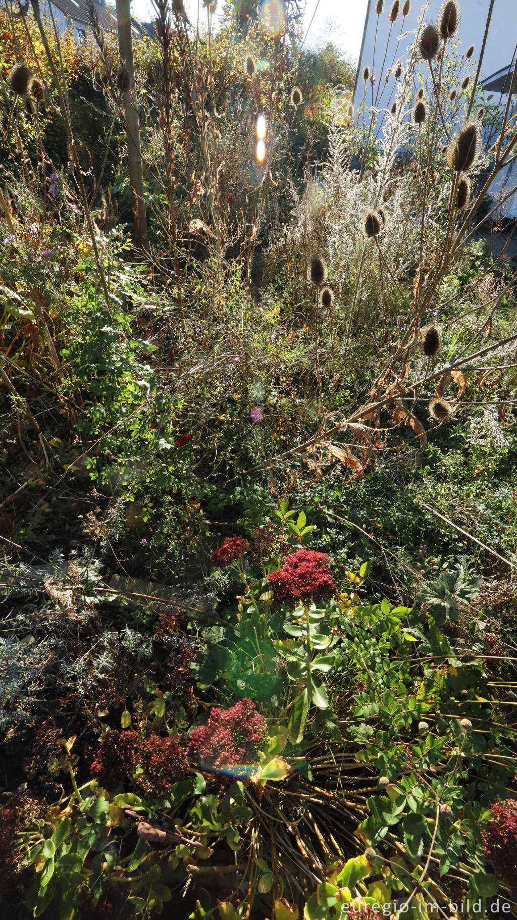 Detailansicht von Im Garten von Detlef Röper, Aachen