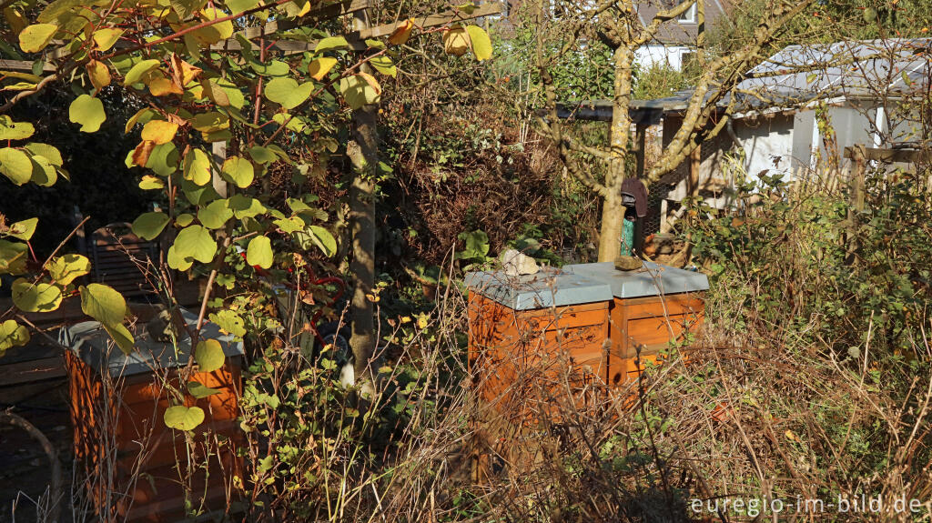 Detailansicht von Im Garten von Detlef Röper, Aachen