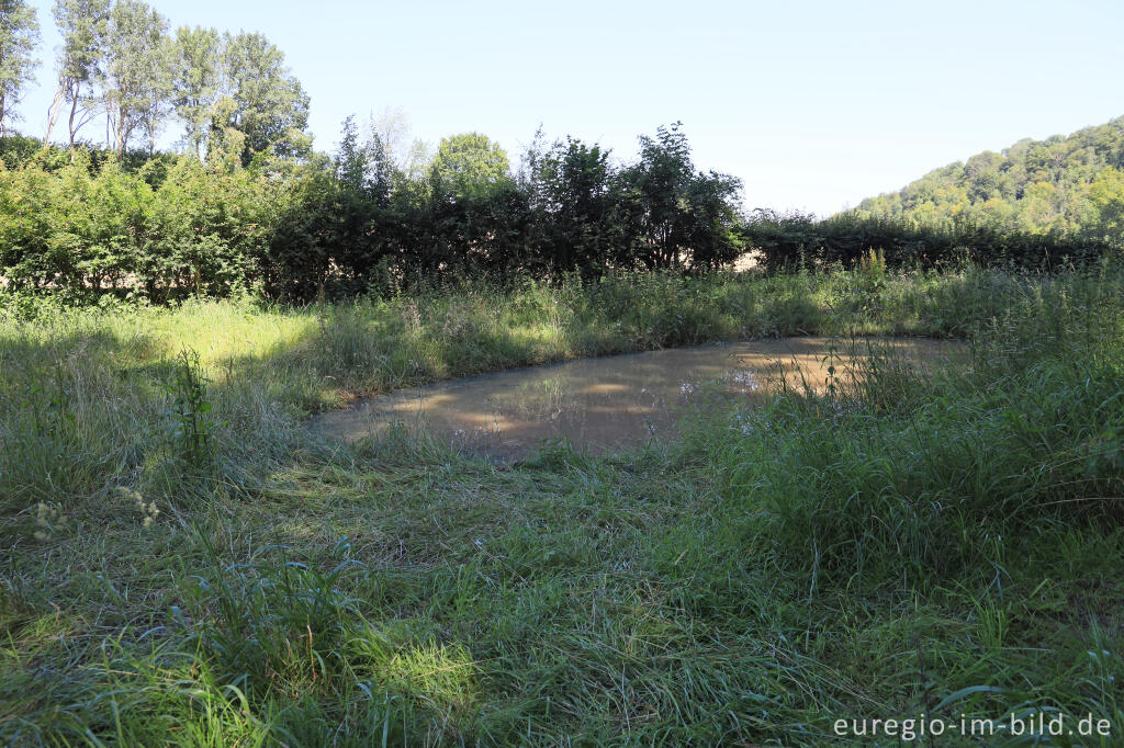 Detailansicht von Im Gerendal bei Schin op Geul in Südlimburg