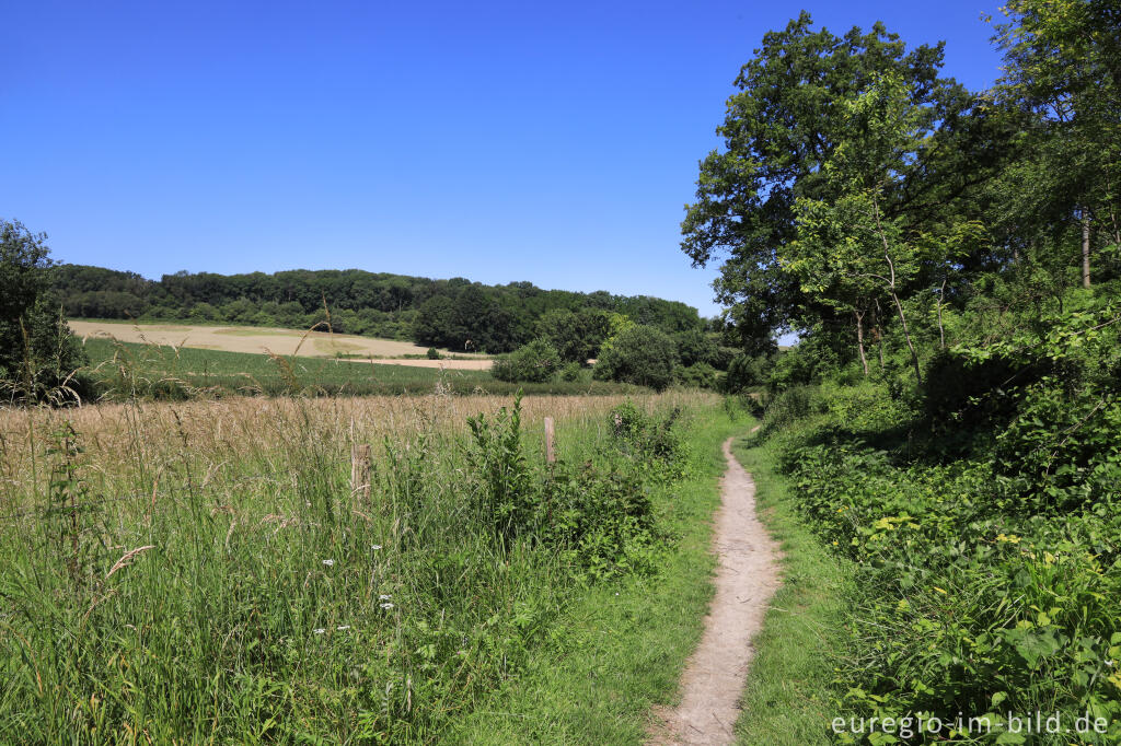 Detailansicht von Im Gerendal bei Schin op Geul in Südlimburg