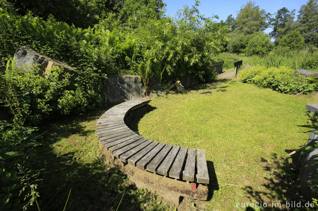Detailansicht von Im Heilkräutergarten Herba Sana in Elsenborn bei Bütgenbach