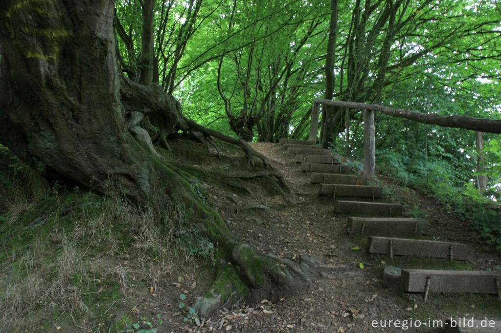 Detailansicht von Innerer Landgraben, Friedrichwald bei Aachen