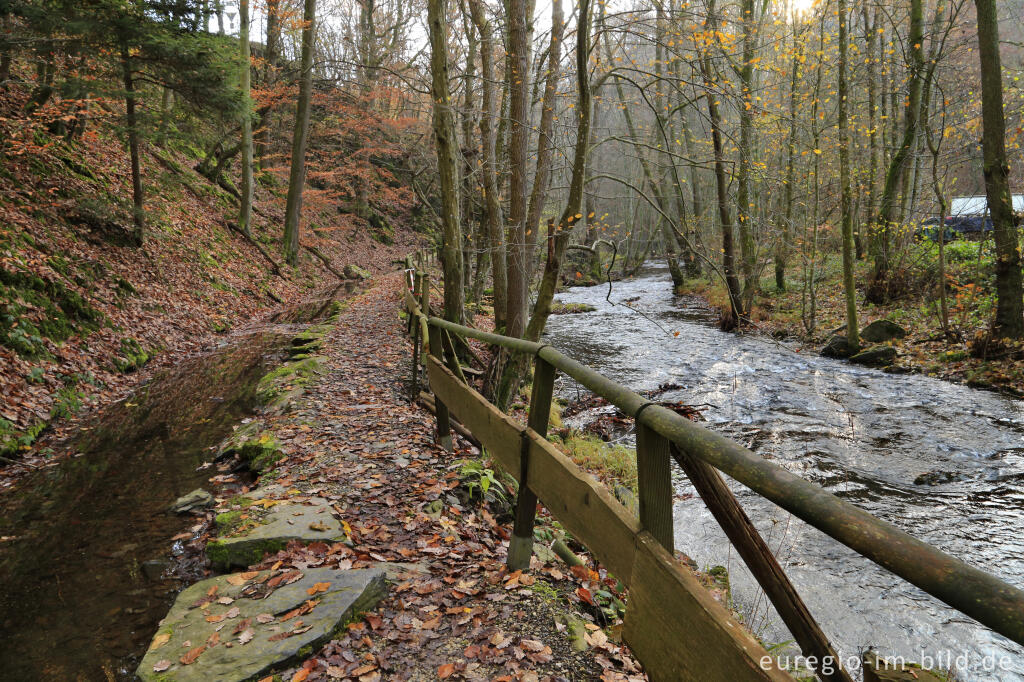 Detailansicht von Kall und Mühlbach der Mestrenger Mühle, Kalltal westlich von Simonskall