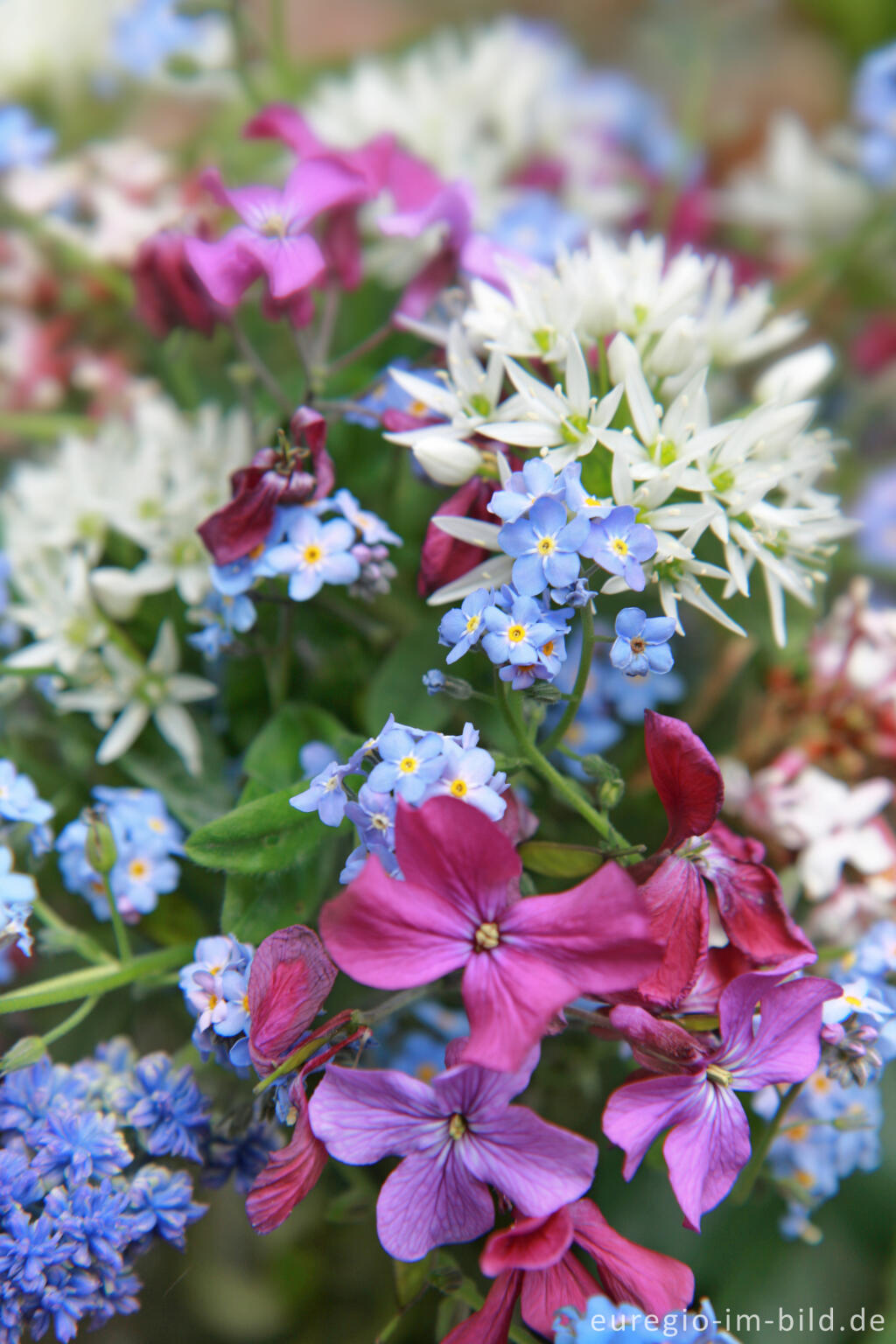Detailansicht von Kleiner Blumenstrauß, Mai 
