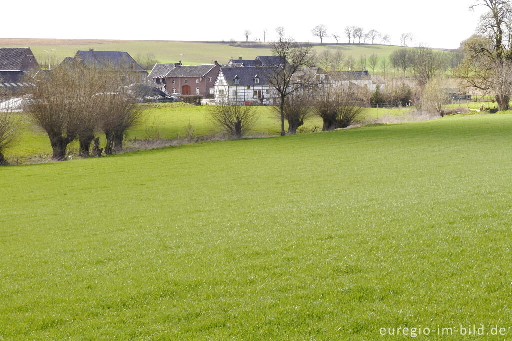 Detailansicht von Mamelis (NL) am Senserbach