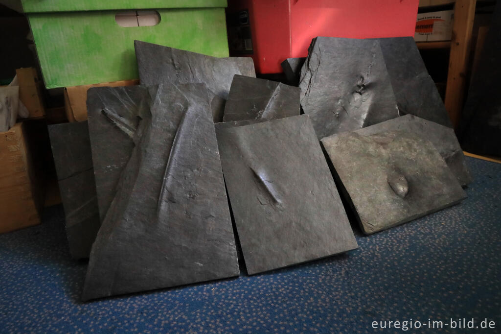 Detailansicht von Moselschiefer mit unbearbeiteten Versteinerungen aus der Sammlung Claus Friis
