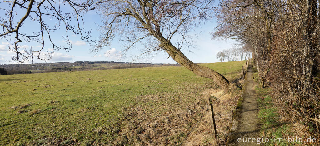 Detailansicht von Wanderweg auf der Panzersperre westlich von Imgenbroich