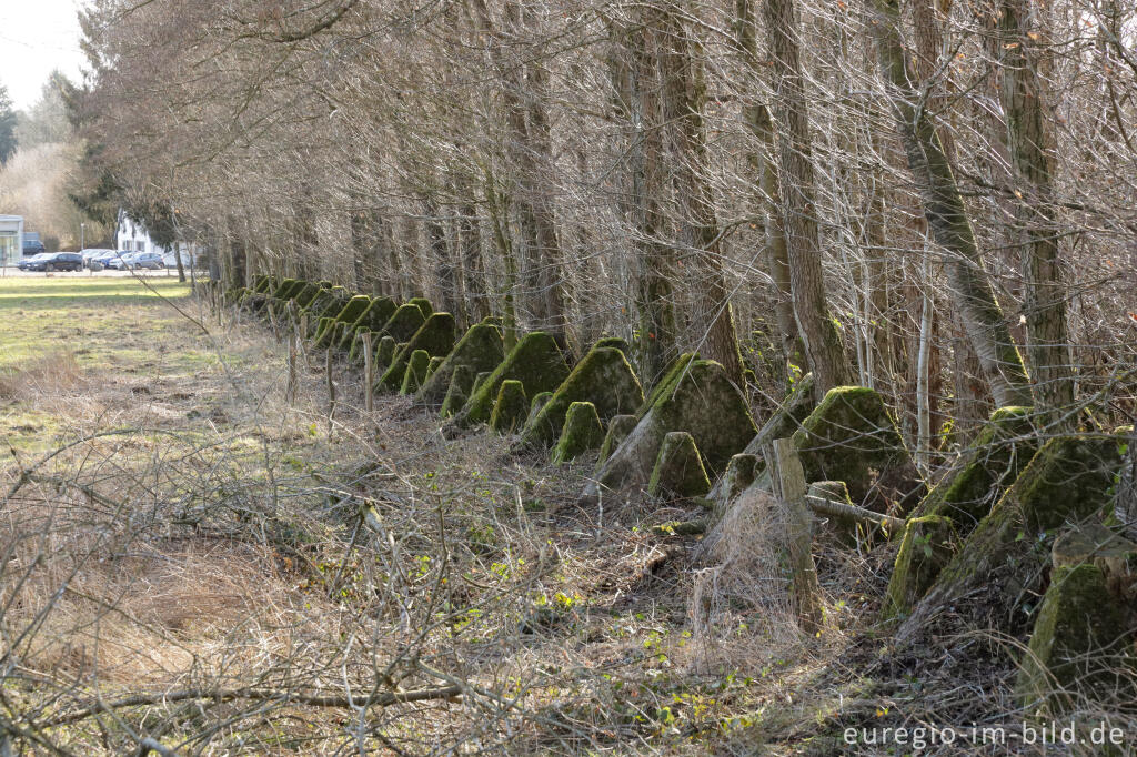 Panzersperre westlich von Imgenbroich