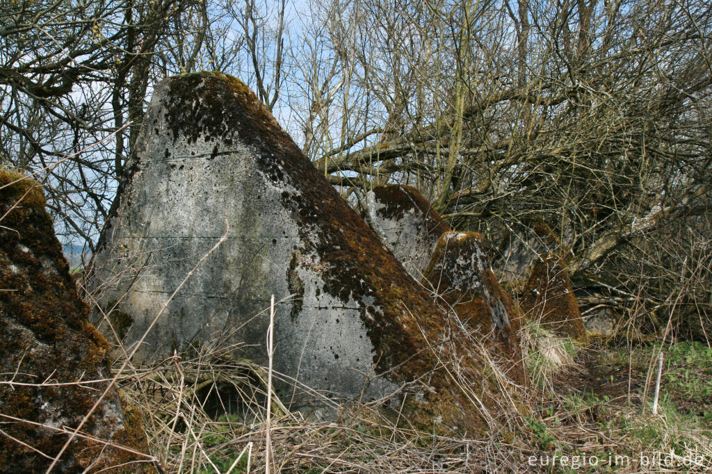 Panzersperre, westlich von Simmerath