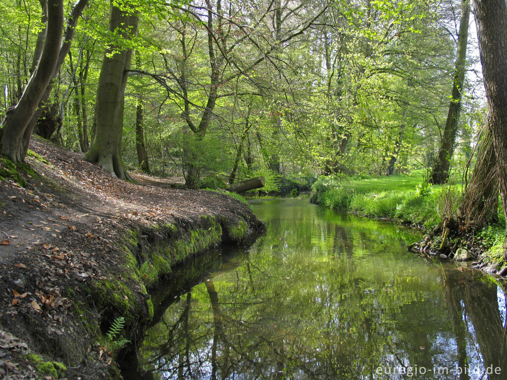 Detailansicht von Pfad entlang dem Amstelbach