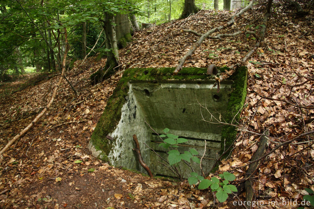 Pingen - ein Bodendenkmal bei Golbach
