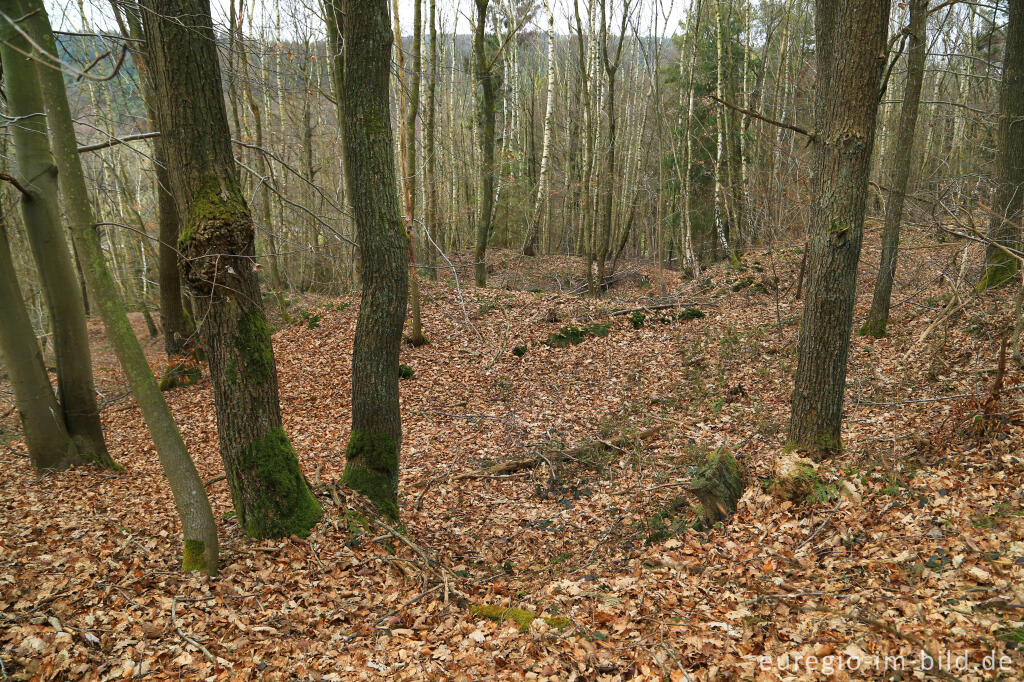 Detailansicht von Pingen - ein Bodendenkmal in der Nähe von Kall und Golbach