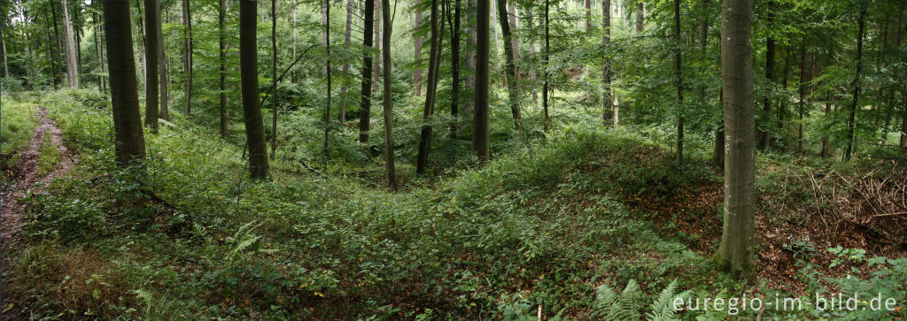 Detailansicht von Pingen - ein Bodendenkmal in der Nähe von Kall und Golbach