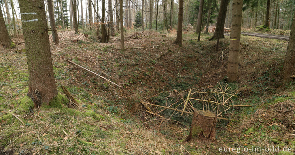 Detailansicht von Pingen - ein Bodendenkmal in der Nähe von Kall und Golbach