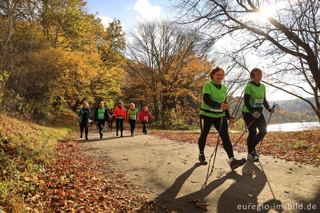 Detailansicht von Rursee Marathon 2021, Walking / Nordic