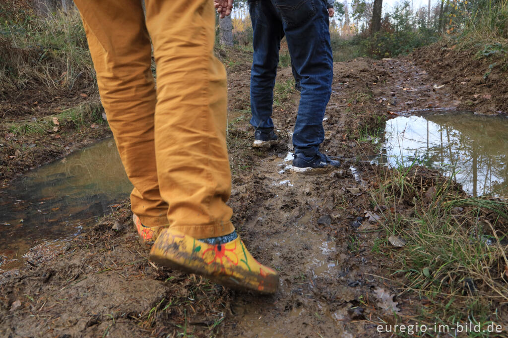 Detailansicht von Schlammiger Weg im Meroder Wald