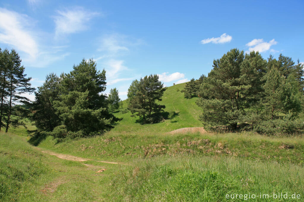 Detailansicht von Schlangenberg bei Breinigerheide, Nordeifel