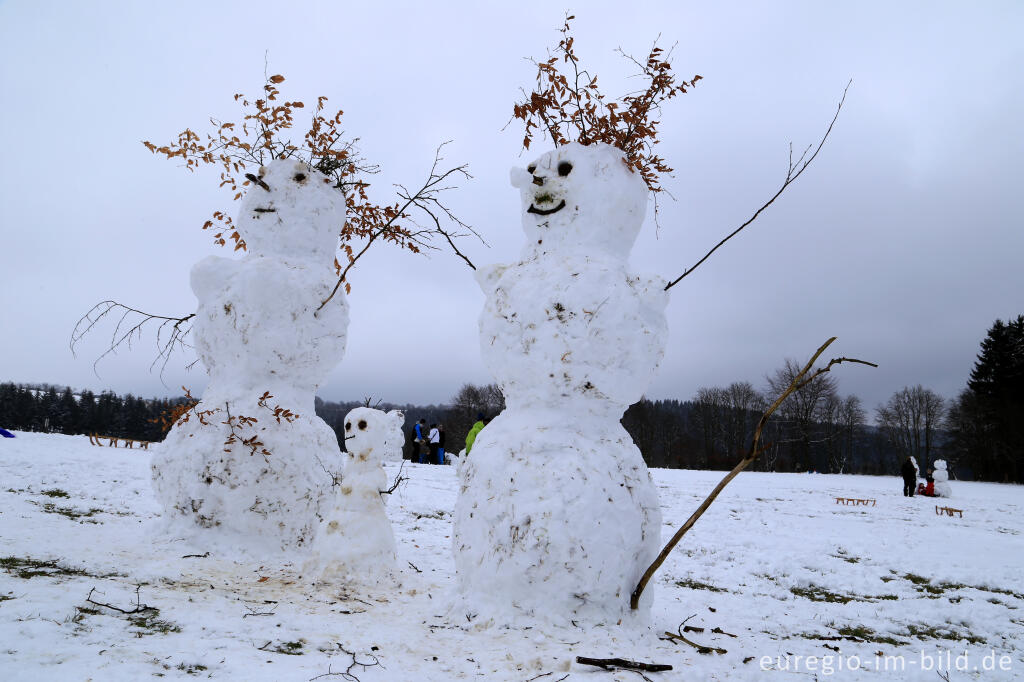 Detailansicht von Schneemann im Wintersportgebiet "Weißer Stein" bei Udenbreth in der Hocheifel