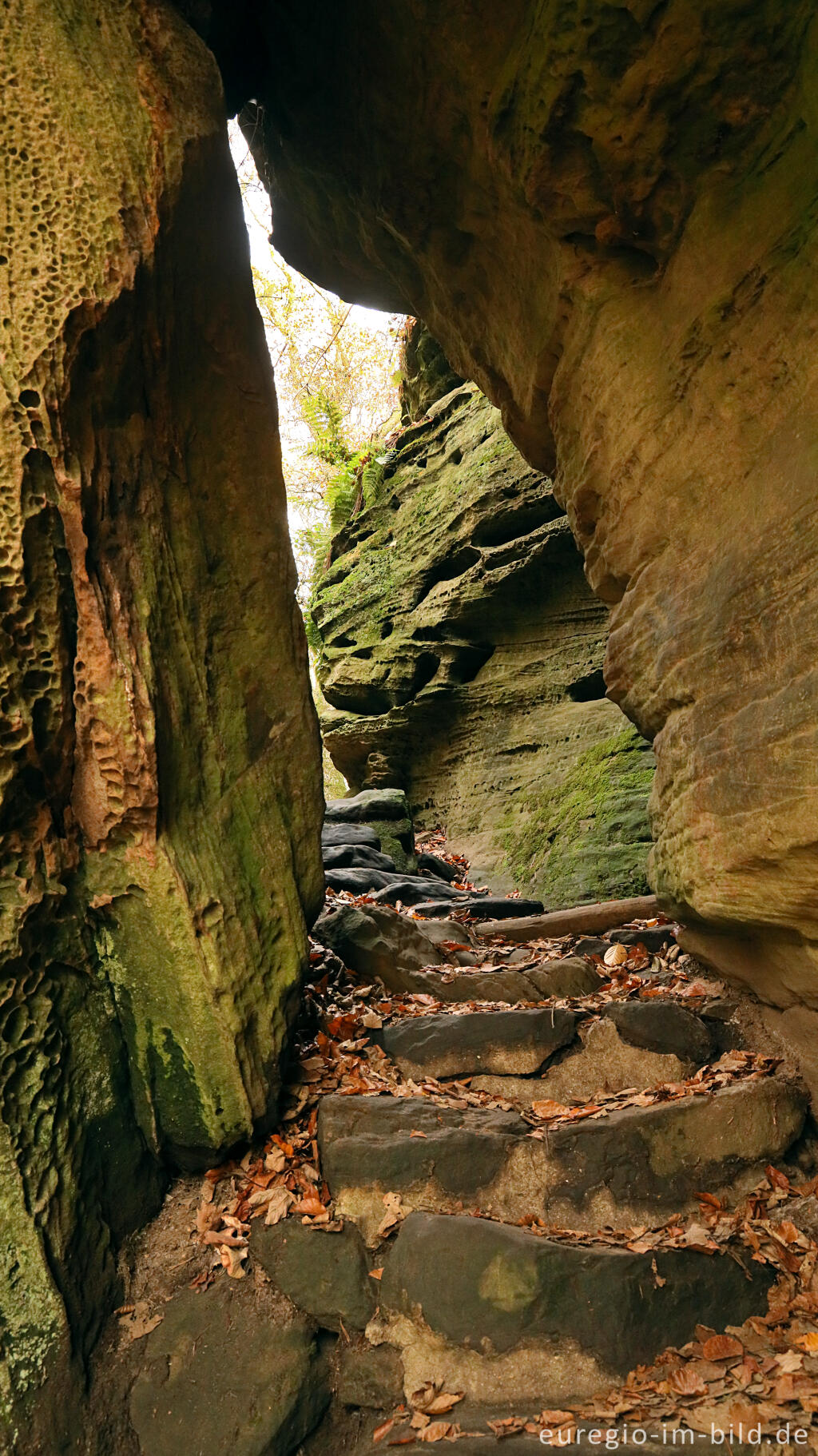 Detailansicht von Sieweschlueff, die sieben Schluchten, Wanderweg B2 im Müllerthal