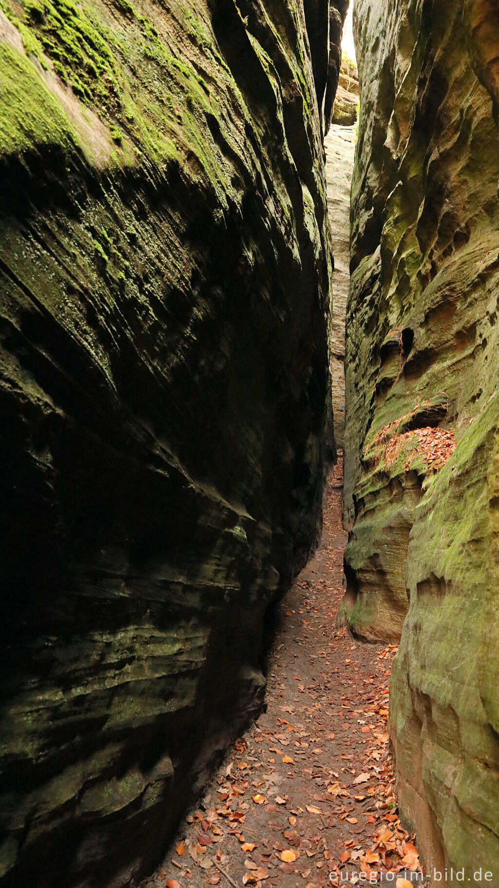 Detailansicht von Sieweschlueff, die sieben Schluchten, Wanderweg B2 im Müllerthal