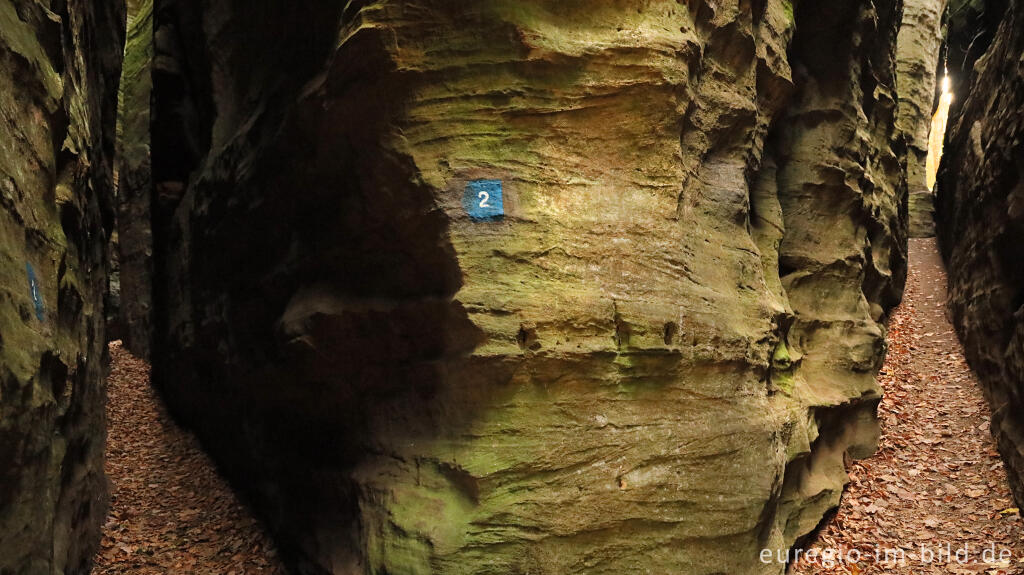 Detailansicht von Sieweschlueff, die sieben Schluchten, Wanderweg B2 im Müllerthal