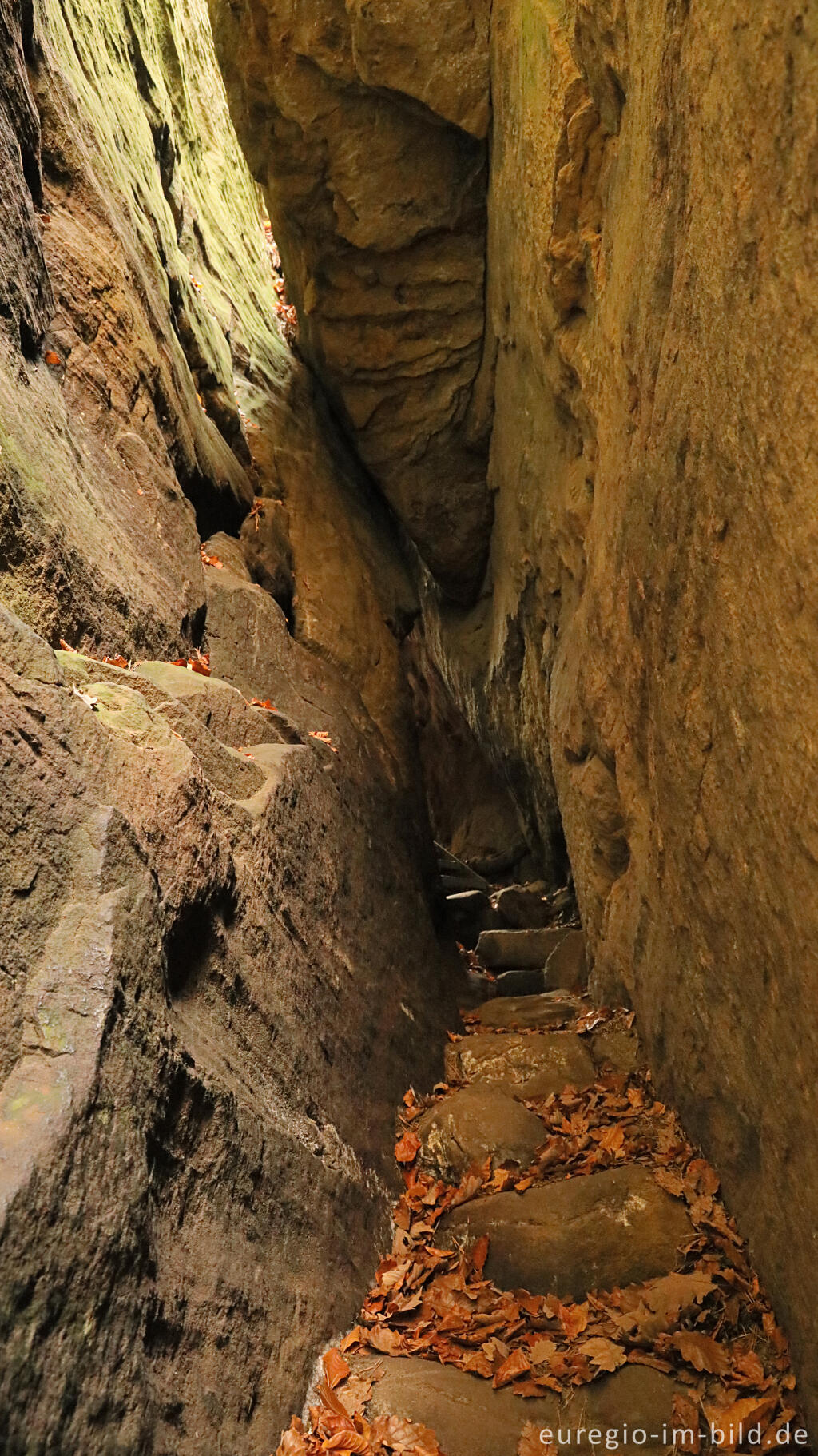 Detailansicht von Sieweschlueff, die sieben Schluchten, Wanderweg B2 im Müllerthal