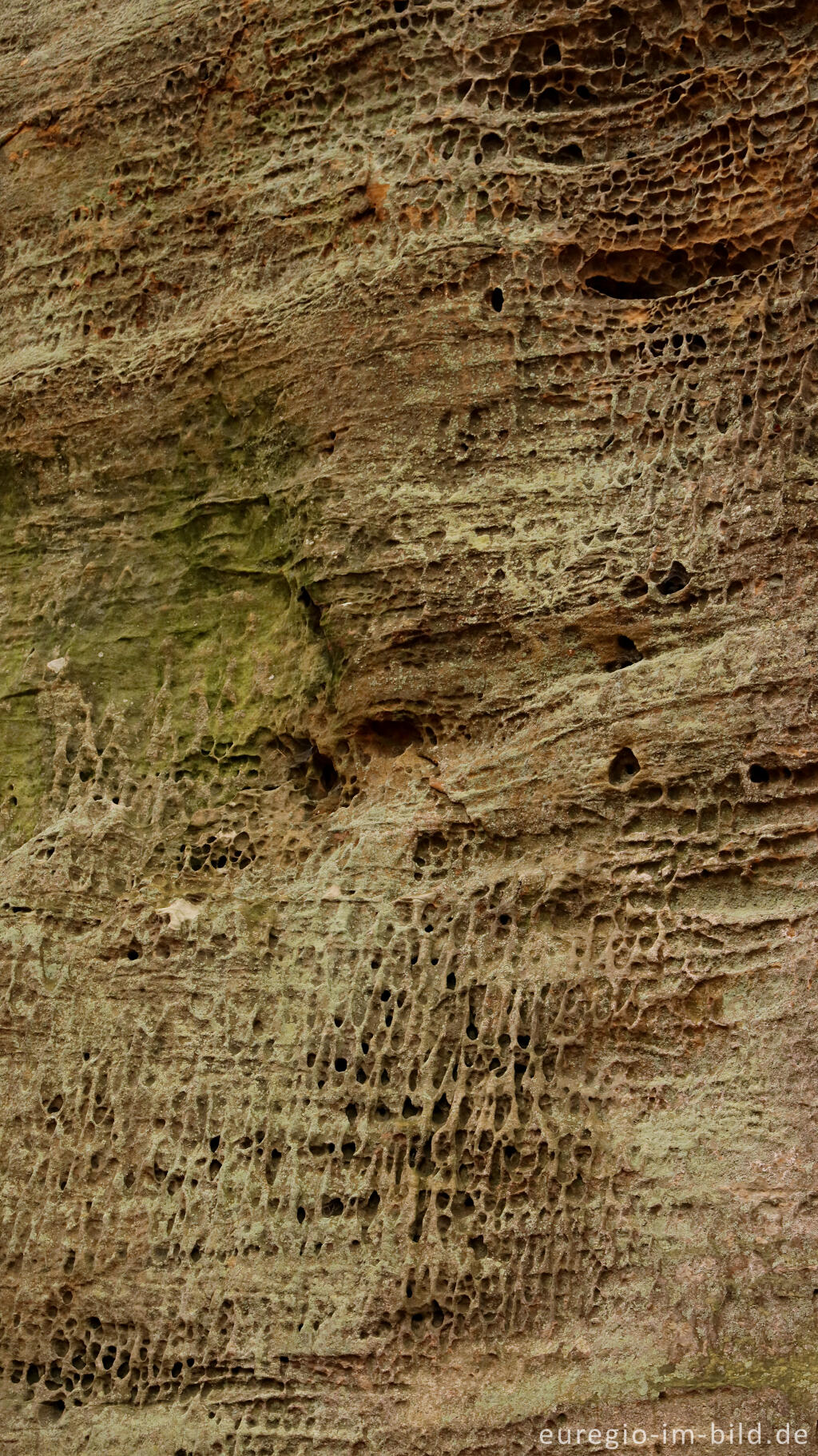 Detailansicht von Spuren der Verwitterung an einem Sandstein, Müllerthal