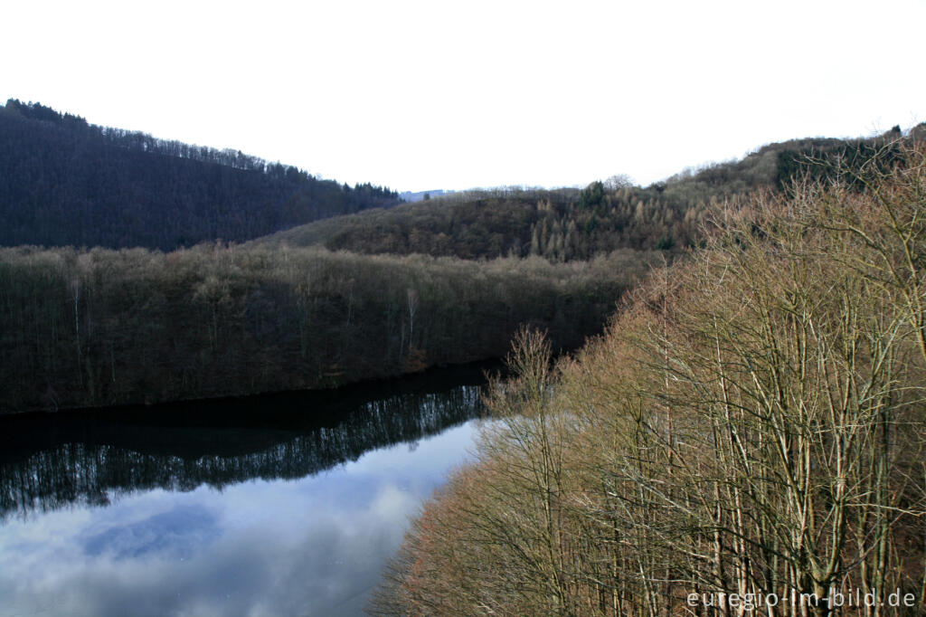Detailansicht von Stauanlage Obersee, Rureifel