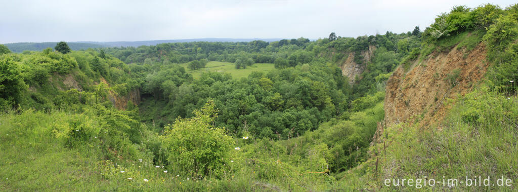 Detailansicht von Steinbruchgebiet Brockenberg bei Stolberg