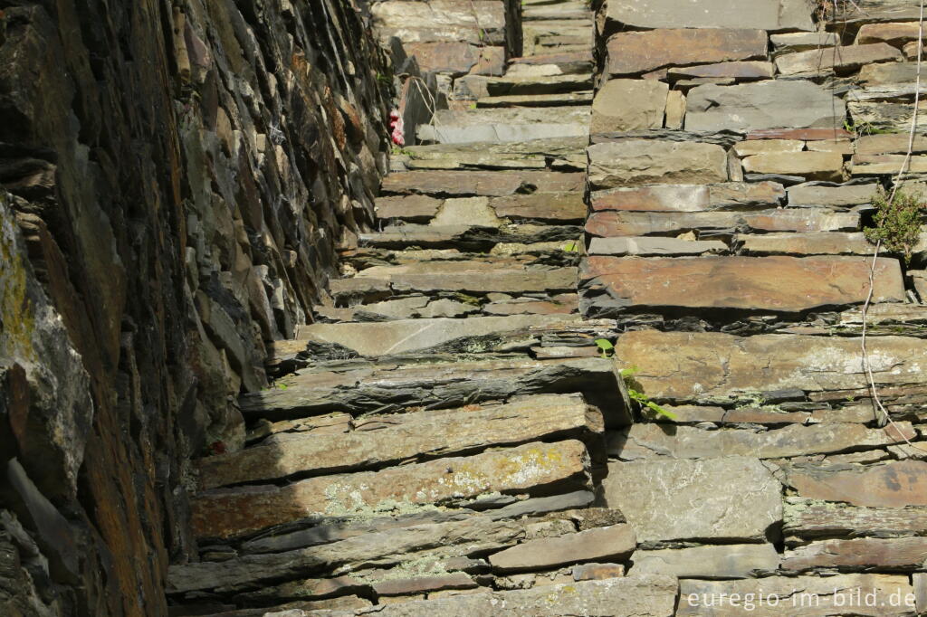 Detailansicht von Steintreppe un den Weinbergen des mittleren Ahrtals