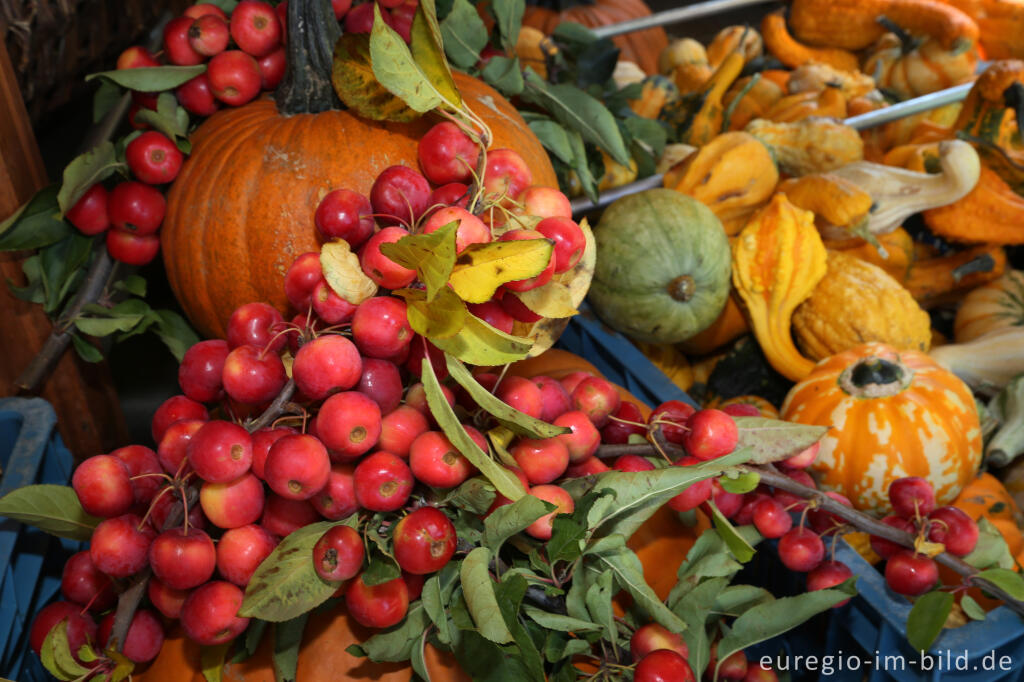 Detailansicht von Stillleben mit Obst und Gemöse