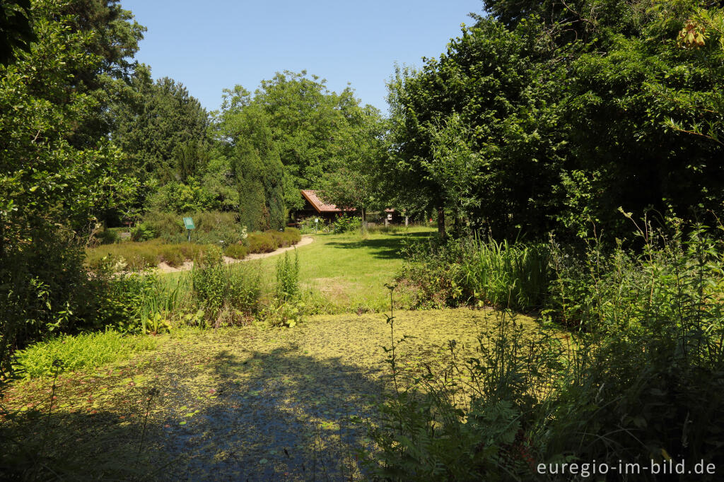 Detailansicht von Teich im Schlossgarten von Oud-Valkenburg