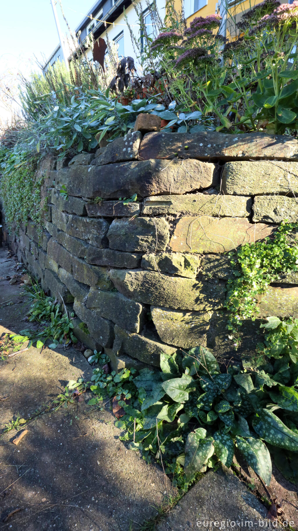 Detailansicht von Trockenmauer im Garten von Detlef Röper