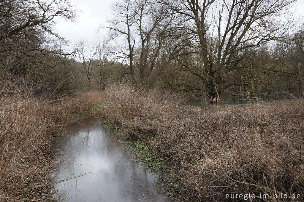 Detailansicht von Überschwemmter Weg, Auenlandschaft im Wurmtal bei Herzogenrath-Straß