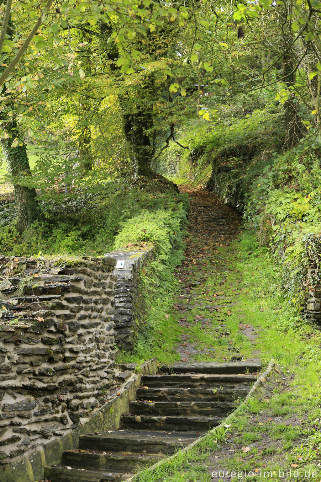 Detailansicht von Vianden im Ourtal