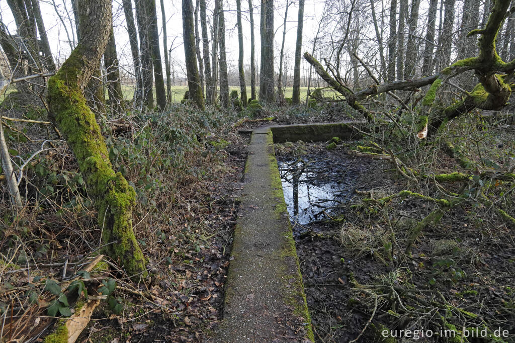 Wanderweg auf der Panzersperre westlich von Imgenbroich
