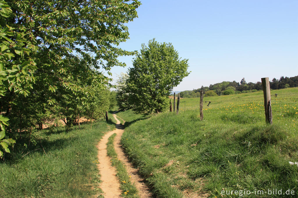 Detailansicht von Wanderweg südlich von Aachen-Hanbruch