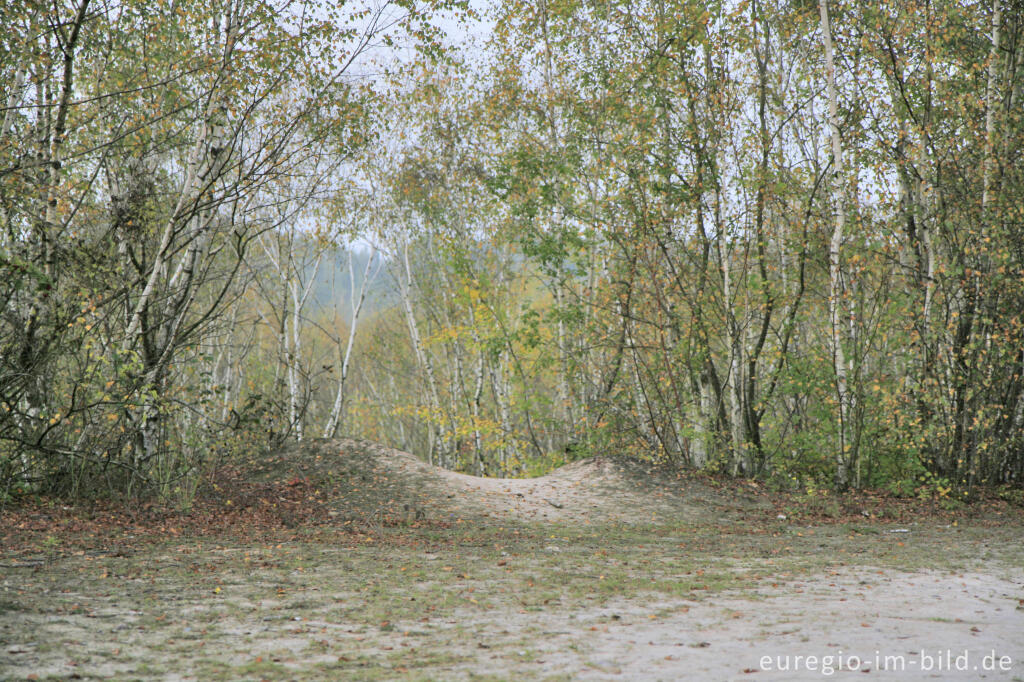 Detailansicht von Weiße Kalkhalde im Wurmtal bei Würselen