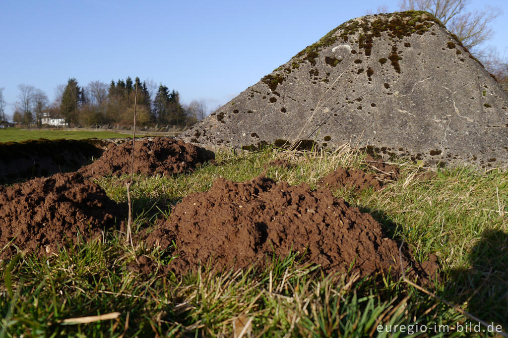 Detailansicht von Westwall bei Aachen-Schmithof